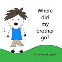 bokomslag Where did my brother go?: Coping with grief through imagination