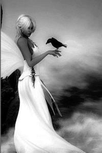 R. Smith - Poetry, Häftad