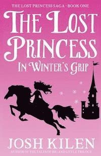 bokomslag The Lost Princess in Winter's Grip