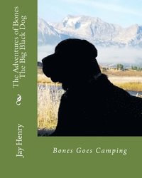 bokomslag The Adventures of Bones-The Big Black Dog: Bones Goes Camping
