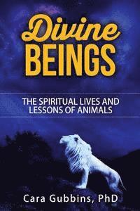 bokomslag Divine Beings: The Spiritual LIves and Lessons of Animals