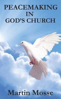 bokomslag Peacemaking in God's Church