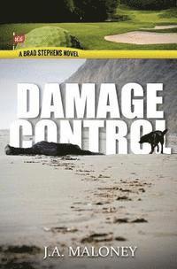 bokomslag Damage Control: A Brad Stephens Novel. Hole #4