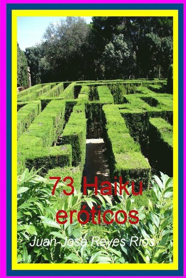 bokomslag 73 Haiku eróticos