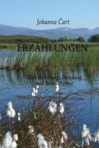 bokomslag Erzählungen: über Befreiung, Berufung und Bewältigung