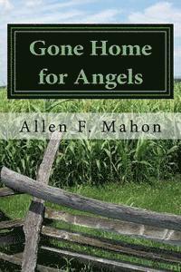 bokomslag Gone Home for Angels: A Novel of the American Civil War