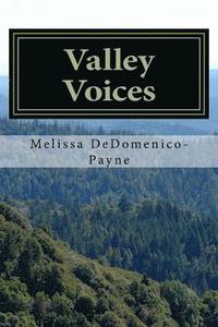 bokomslag Valley Voices: Poetry that Speaks to the Soul