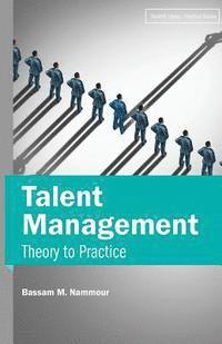 bokomslag Talent Management: Theory to Practice