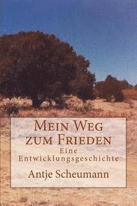 bokomslag Mein Weg zum Frieden: Eine Entwicklungsgeschichte