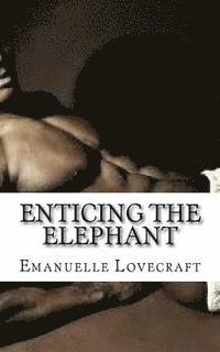 Enticing The Elephant 1