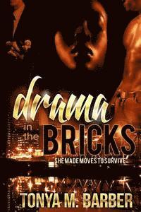 Tonya M. Barber, Brooke Martin - Drama In The Bricks, Häftad