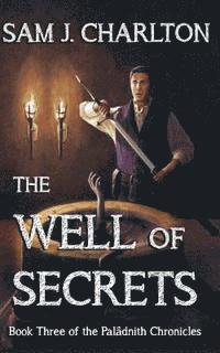 bokomslag The Well of Secrets