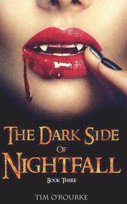 bokomslag Dark Side of Nightfall (Book Three)