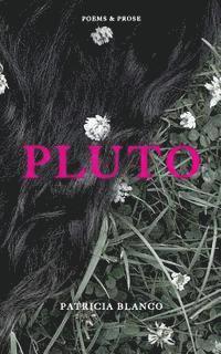 bokomslag Pluto: Poems & Prose (2nd Edition)