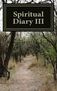 bokomslag Spiritual Diary III
