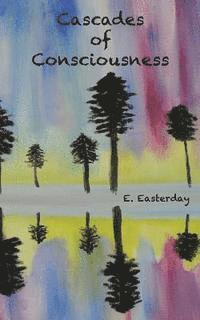 bokomslag Cascades of Consciousness