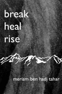 bokomslag break heal rise