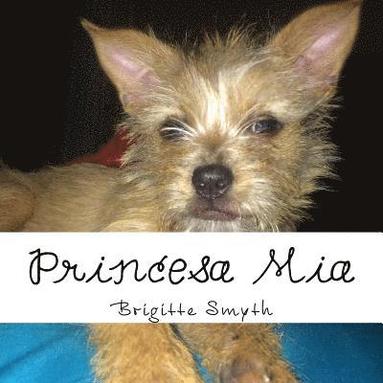 bokomslag Princesa Mia: Princess Mia