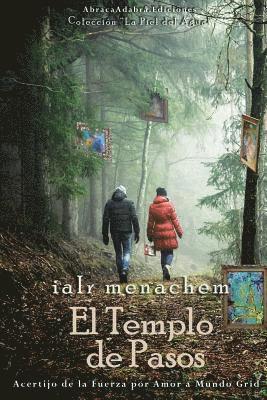 bokomslag Templo de Pasos