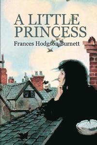 bokomslag A Little Princess: The story of Sara Crewe