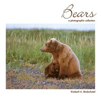 bokomslag Bears: A Photographic Collection
