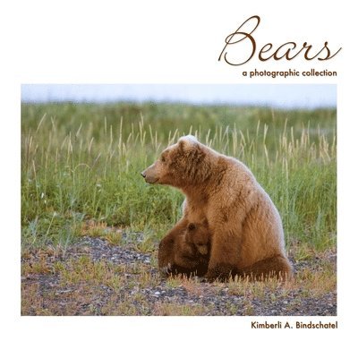 Bears: A Photographic Collection 1