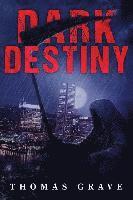 bokomslag Dark Destiny