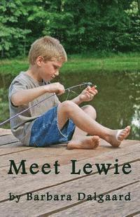 bokomslag Meet Lewie