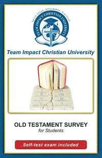 bokomslag OLD TESTAMENT SURVEY for students