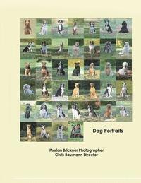 bokomslag Dog Portraits