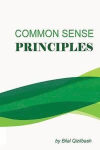 bokomslag Common Sense Principles