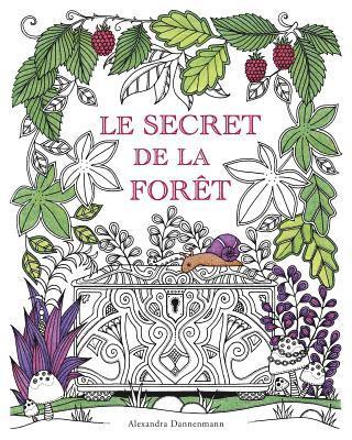 bokomslag Le secret de la foret