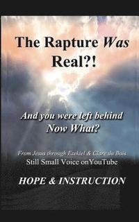 bokomslag The Rapture Was Real: And You Were Left Behind, Now What