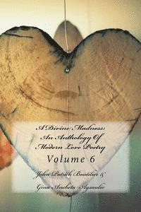 bokomslag A Divine Madness: An Anthology Of Modern Love Poetry: Volume 6