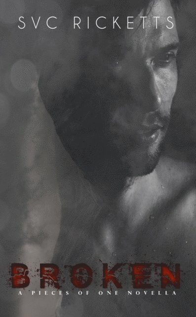 S. V. C. Ricketts - Broken - A Pieces Of One Novella (The Dark Life Collection), Häftad
