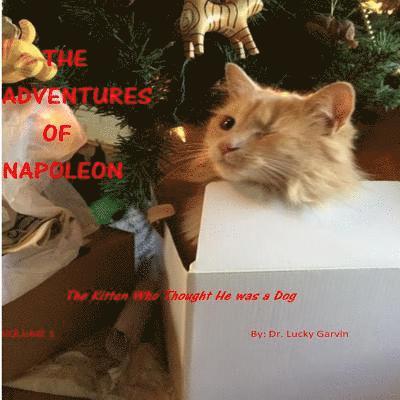 Lucky Garvin - The Adventures of Napoleon: The Kitten Who Thought He Was a Dog, Häftad