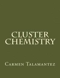 bokomslag Cluster Chemistry