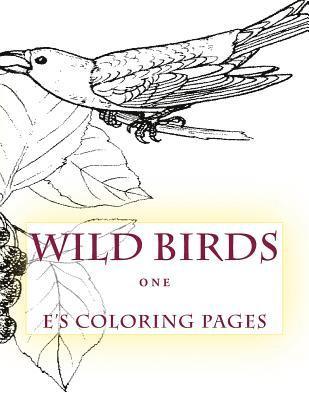 WILD BIRDS one