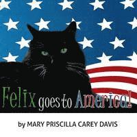 bokomslag Felix Goes To America