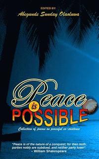 bokomslag Peace is Possible