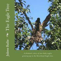 bokomslag The Eagle Tree: A dramatic story of two baby eagles growing up in the Riverbend nest tree.