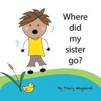 bokomslag Where did my sister go?: Coping with grief through imagination