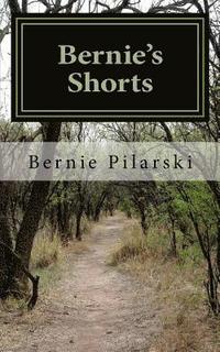 bokomslag Bernie's Shorts: An Anthology of Assorted Short Fiction