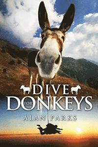 bokomslag Dive for Donkeys