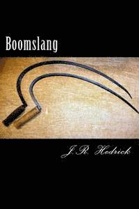 bokomslag Boomslang