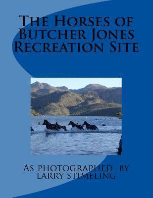 bokomslag The Horses of Butcher Jones Recreation Site