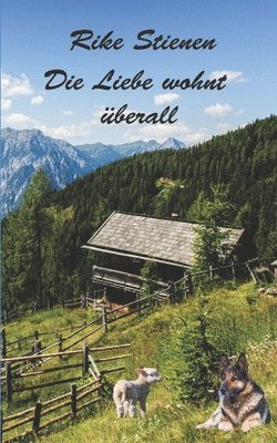 Rike Stienen - Die Liebe wohnt überall, Häftad