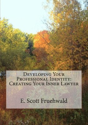 bokomslag Developing Your Professional Identity: Creating Your Inner Lawyer