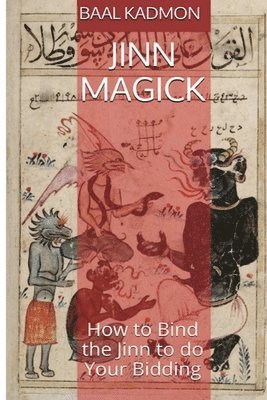 bokomslag Jinn Magick