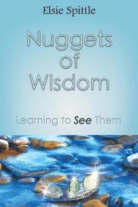 bokomslag Nuggets of Wisdom